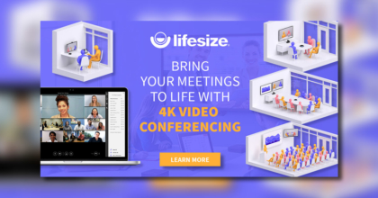 visualisation_lifesize_3