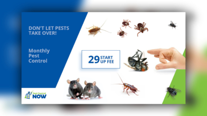 FB_Pest_control_now